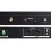 Denon DN-300BR Bluetooth Receiver